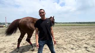 Mister J T  wins for trainer Jorge Diaz