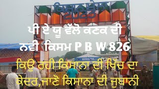 ਪੀ.ਏ.ਯੂ ਦੇ ਕਿਸਾਨ ਮੇਲੇ ਦੇ ਵਿੱਚ  P B W 826  ਕਣਕ ਦੀ ਕਿਸਮ ਕਿਉ ਰਹੀ ਖਿਚ ਦਾ ਕੇਦਰ ਆਉ ਜਾਣੀਏ ਕਿਸਾਨਾ ਦੀ ਜੁਬਾਨੀ