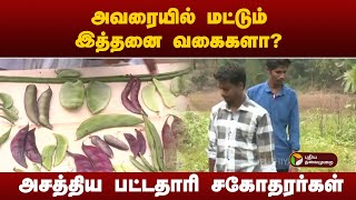 அவரையில் மட்டும் இத்தனை வகைகளா? அசத்திய பட்டதாரி சகோதரர்கள் | Salem