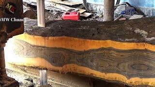 Bandsaw Sawmill VS Kayu jati mewah. Apakah Ini Akan Membuat Pemotongan kayu semakin dahsyat!!!