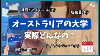 【留学前必見】オーストラリアの大学って実際どんなの？🎓 課題、授業、タイムスケジュール 〜オーストラリア留学、海外大学〜