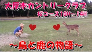 【ナイターゴルフ!?】ラウンド⑤大厚木カントリークラブ桜コース_10H～14H