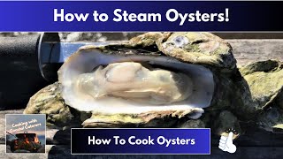 HOW to Steam OYSTERS | STEAMED Oysters | How To COOK Oysters 😋👍