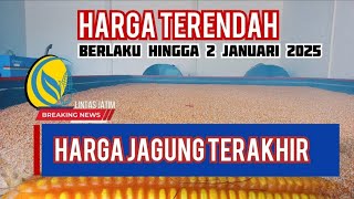 Harga Jagung Di Penghujung Tahun 2024