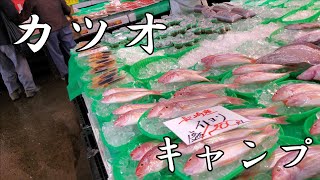 【うまっ】おさかな市場で海鮮づくしキャンプ