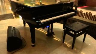 自動演奏鋼琴安裝-HANLIN實例參考1302011-auto piano Player