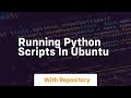 Running python scripts in ubuntu
