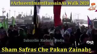 Kashmiri Noha Sham Safras che pakan zainab ||Arbaeen imam Hussain 2020`Arbaeen walk Najaf to karbala