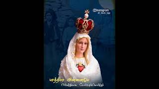 Our Lady of Fatima Feast / பாத்திமா அன்னை பெருவிழா / #romancatholic #christiansongs