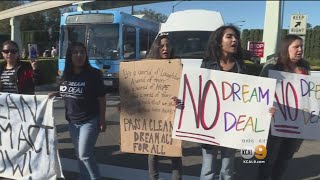 Senate Turns Its Attention Toward 'Dreamers'