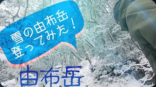 【山ログ】雪の由布岳へ！【由布岳】