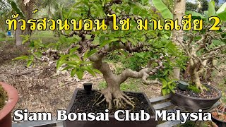 Bonsai Station [Tour Station] EP.31 ทัวสวนที่ มาเลเซีย 2 (Siam Bonsai Club Malaysia)