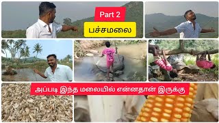 திருச்சி அருகில் இப்படி ஒரு அழகிய மலை 😳😲 | @moonudosa