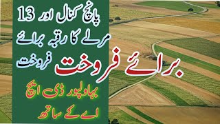 Agriculture Land For Sale In Bahawalpur | DHA Bahawalpur Land For Sale Bahawalpur | Bahawalpur Land