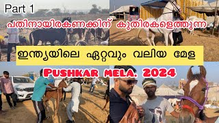 ഇന്ത്യയിലെ ഏറ്റവും വലിയ കുതിര മേള  pushkar mela 2024 #pushkar @azhapetschannel6429