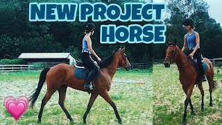 TRYING MY NEXT PROJECT HORSE!