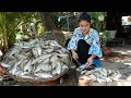 '' Freshwater fishes ''Mommy chef in countryside cooking 4 recipes with fishes - Countryside life TV