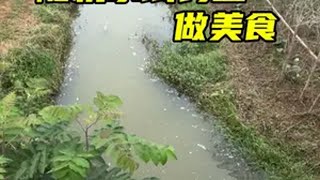 挑战随机水域钓鱼做美食，今天可真是收获满满 钓鱼竿