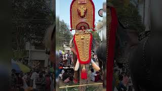 ശ്രീപദ്മനാഭൻ, Konban Chirakkal Sri Padmanabhan at Cheeramkulam pooram 2024