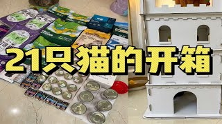 21只猫猫的开箱视频来喽～每周不见不散O(∩_∩)O