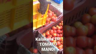 subscribe for daily updates in kalakada tomato market. #tomato