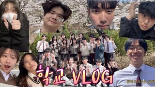 봄. 고3. 벚꽃. VLOG