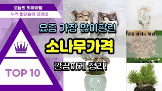 소나무가격 추천 판매순위 Top10 || 가격 평점 후기 비교