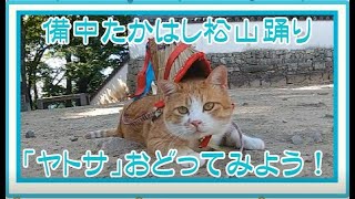 備中たかはし松山踊り「ヤトサ踊り動画コンテスト（サンプル動画）」