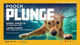 Pooch Plunge 2018