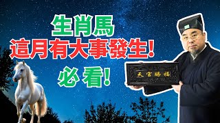 生肖馬，就在這個月！你將有大事發生，這是你期待已久的大喜事！命運大轉變！必看！ #生肖馬2024年運程 #生肖馬2024年運勢 #屬馬人2024年運程 #屬馬人2024年運勢