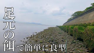 足元で獲った餌を すぐに放り込む…良型が面白いように釣れる!!