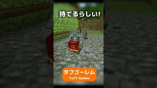 【マイクラ】2匹目の新モブは誰！？