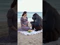 What about the woman who married the gorilla?#gorilla #baby#shorts#cute#funny#love#animals