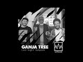 GANJA TREE - Last Night Dubplate