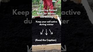 Preparing Raised Beds for Winter Gardening