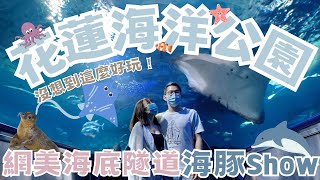 【花蓮旅遊】 - 完全沒想到《花蓮海洋公園》超好玩！ 魟魚在你頭上海底隧道、海豹流星雨、海獅深水炸彈、空中飛人特技表演秀！