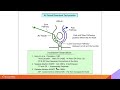 Complex Cases Simplified:  AVNRT Part I with Warren 