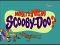 What's new, Scooby Doo? (unofficial intro) [HQ]