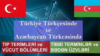 Azerbaycan'da tıp, sağlık, vücut, ilaç, tedavi konusunda konuşmayı öğrenin!