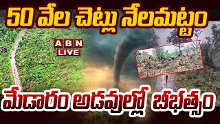 🔴మేడారం అడవుల్లో బీభత్సం LIVE | Heavy Tornadoes in Medaram Forest || ABN  Telugu