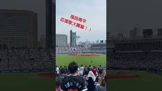 福田周平応援歌火鑽篇！！#福田周平  #オリックスバファローズ #ヤクルトスワローズ #神宮球場