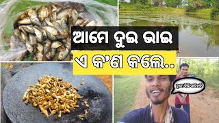 Village fishing | ଗାଁ ପୋଖରୀରେ ମାଛ ଧରା | ଗାଁ ପୋଖରୀ | Gann pakhari |