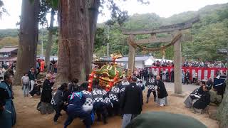 日本の祭り 神輿 加茂大祭2019