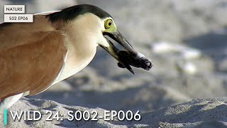 Wild 24: S02 EP06