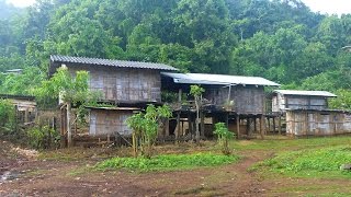 Homestay at Lahu Village In Northern Thailand