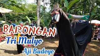 BARONGAN JANTUR || EBEG TRI MULYO AJI BUDOYO | Nogoraji Buayan