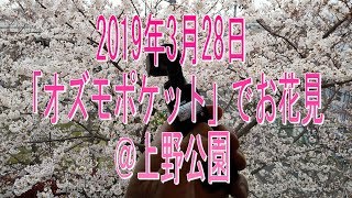 街並み風景・2019年3月28日 「オズモポケット」でお花見 ＠上野公園