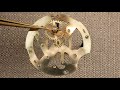 how a mechanical clock works