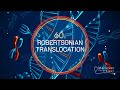 Genetics in 60 seconds: Robertsonian Translocation