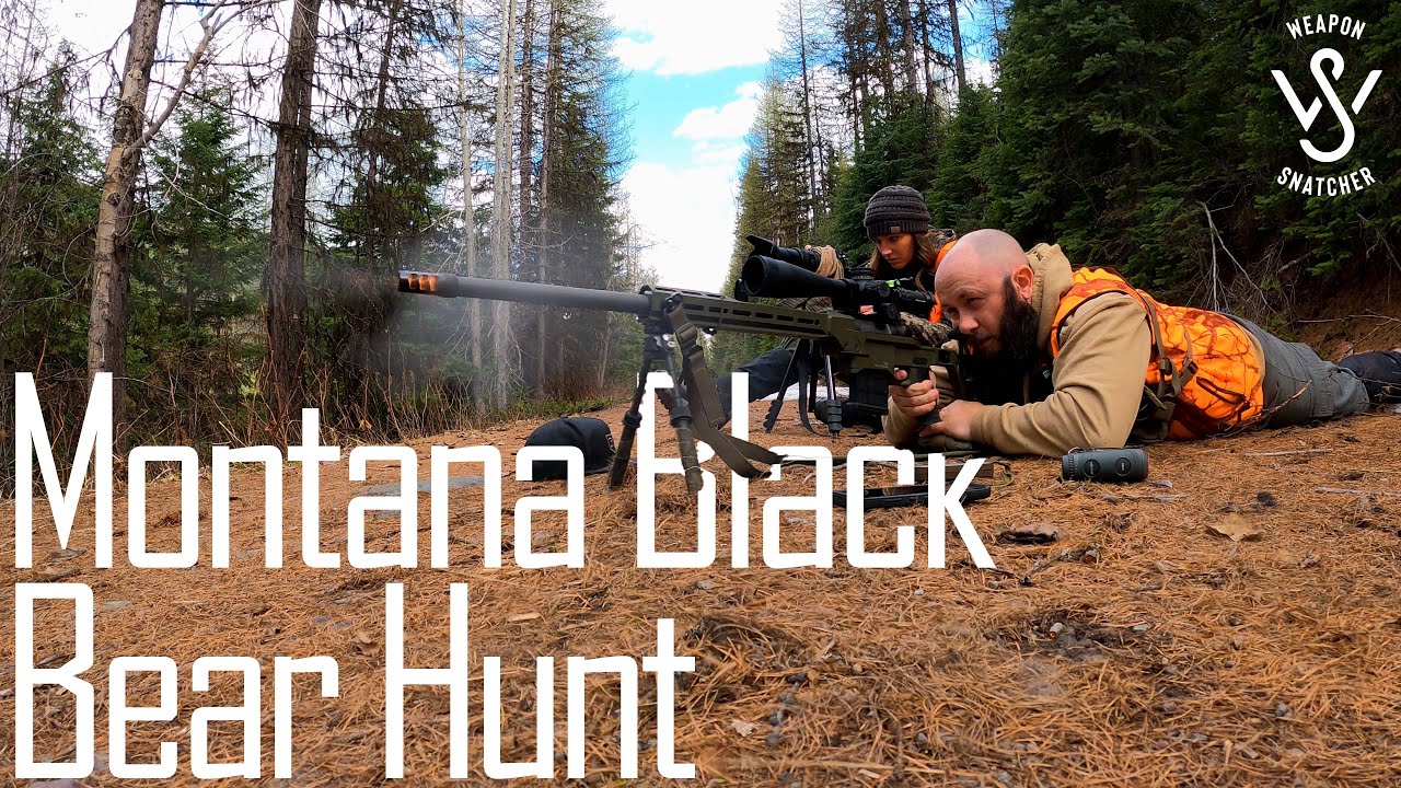 Montana Black Bear Hunt - YouTube